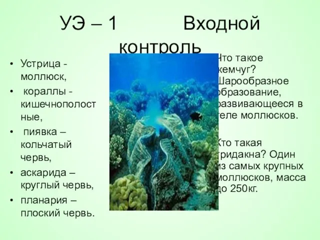 УЭ – 1 Входной контроль Устрица -моллюск, кораллы - кишечнополостные, пиявка