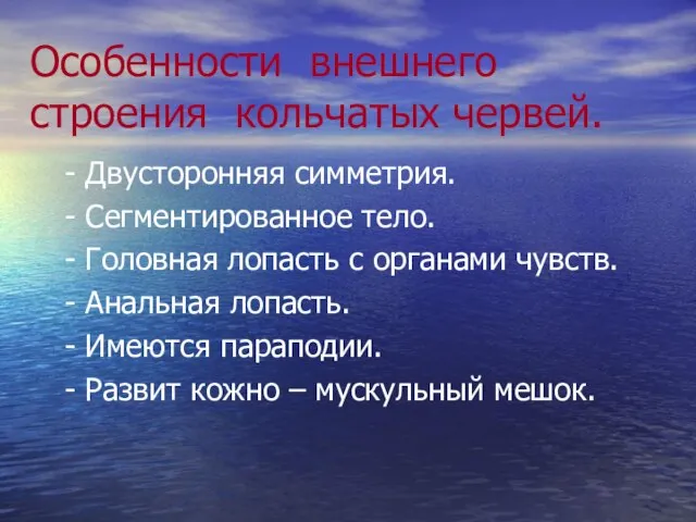 Особенности внешнего строения кольчатых червей. - Двусторонняя симметрия. - Сегментированное тело.