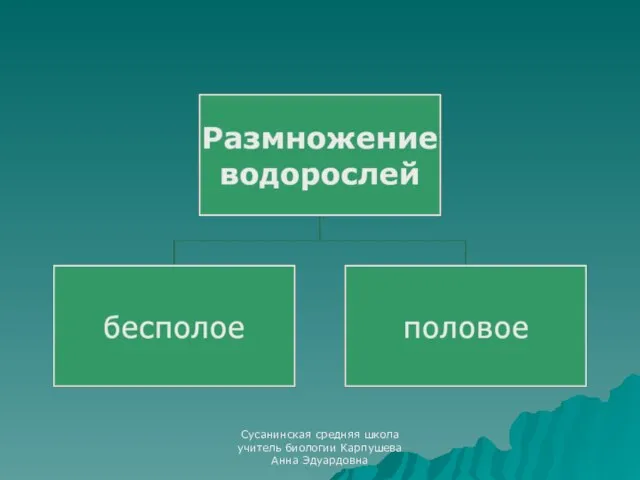 Сусанинская средняя школа учитель биологии Карпушева Анна Эдуардовна