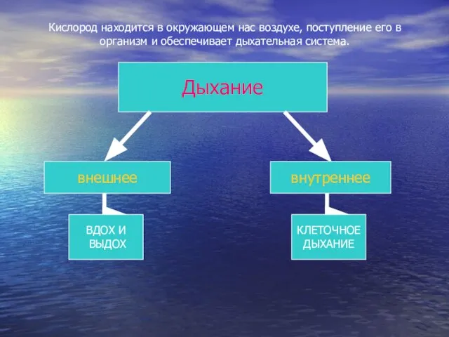 Дыхание внешнее внутреннее ВДОХ И ВЫДОХ КЛЕТОЧНОЕ ДЫХАНИЕ Кислород находится в