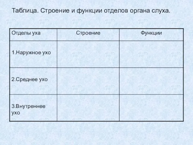 Таблица. Строение и функции отделов органа слуха.