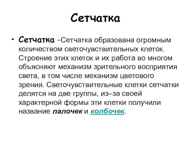 Сетчатка Сетчатка -Сетчатка образована огромным количеством светочувствительных клеток. Строение этих клеток