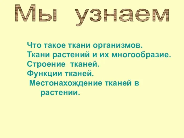 Что такое ткани организмов. Ткани растений и их многообразие. Строение тканей.