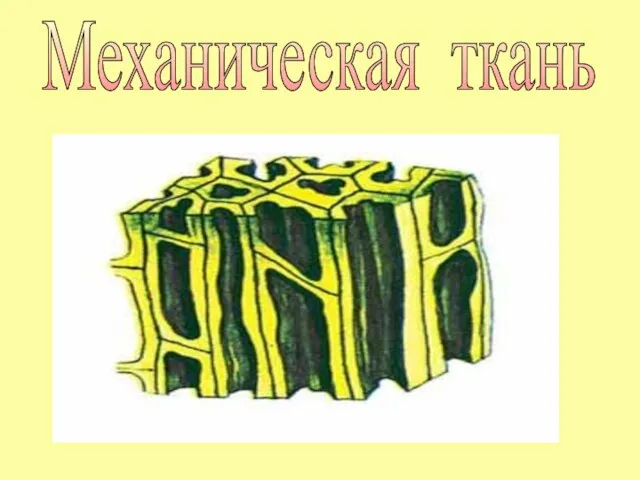 Механическая ткань