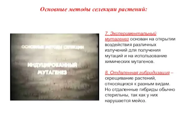 7. Экспериментальный мутагенез основан на открытии воздействия различных излучений для получения