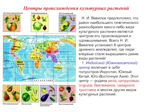 Н. И. Вавилов предположил, что район наибольшего генетического разнообразия какого-либо вида