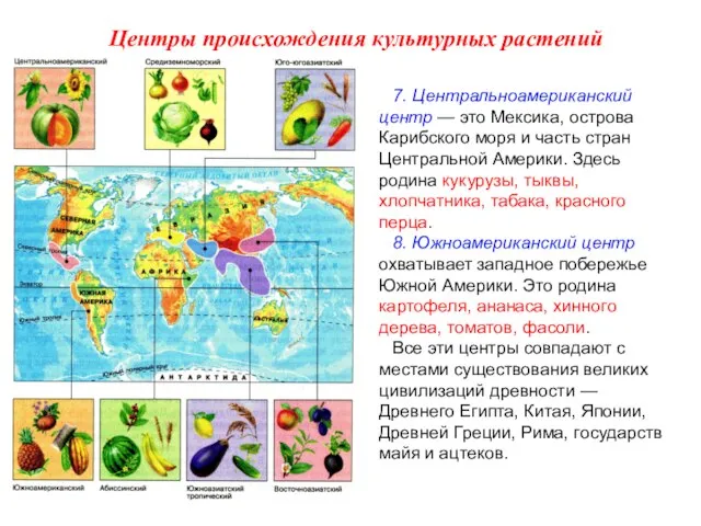 7. Центральноамериканский центр — это Мексика, острова Карибского моря и часть