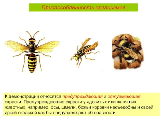 К демонстрации относятся предупреждающая и отпугивающая окраски. Предупреждающие окраски у ядовитых