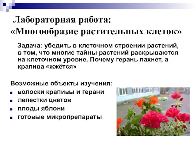 Лабораторная работа: «Многообразие растительных клеток» Задача: убедить в клеточном строении растений,