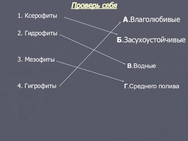 Проверь себя 1. Ксерофиты 2. Гидрофиты 3. Мезофиты 4. Гигрофиты А.Влаголюбивые Б.Засухоустойчивые В.Водные Г.Среднего полива