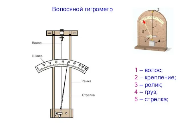 Волосяной гигрометр 1 – волос; 2 – крепление; 3 – ролик;