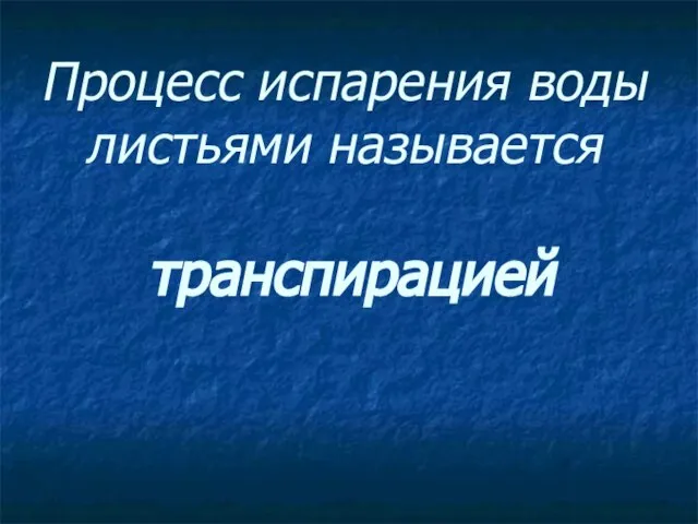 Процесс испарения воды листьями называется транспирацией