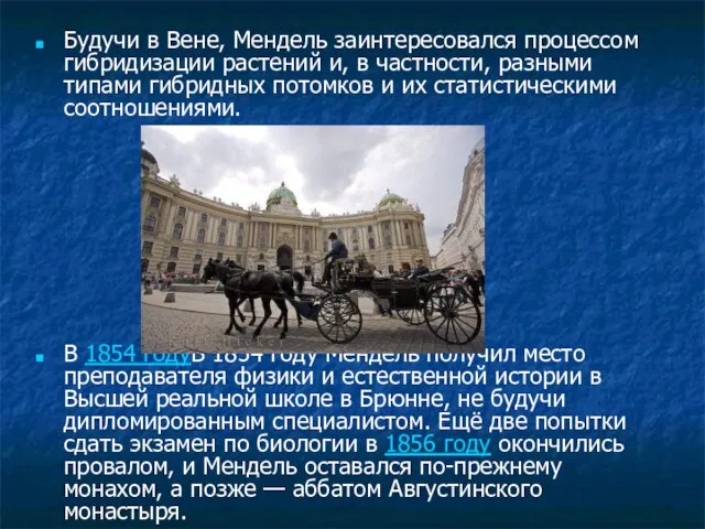 Будучи в Вене, Мендель заинтересовался процессом гибридизации растений и, в частности,