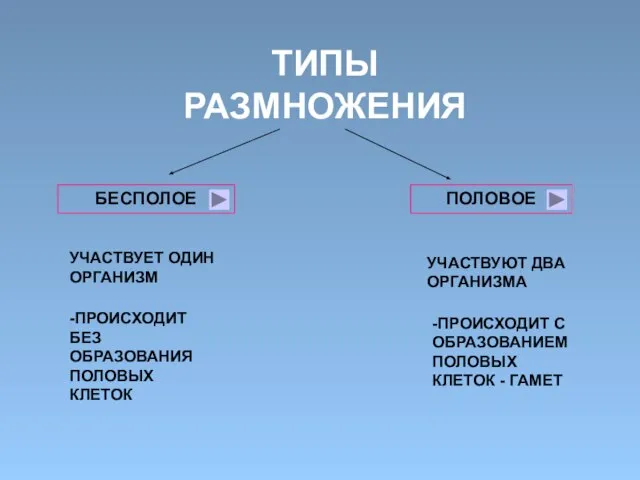 ТИПЫ РАЗМНОЖЕНИЯ БЕСПОЛОЕ ПОЛОВОЕ УЧАСТВУЕТ ОДИН ОРГАНИЗМ -ПРОИСХОДИТ БЕЗ ОБРАЗОВАНИЯ ПОЛОВЫХ