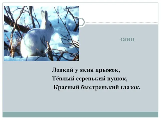 заяц Ловкий у меня прыжок, Тёплый серенький пушок, Красный быстренький глазок.