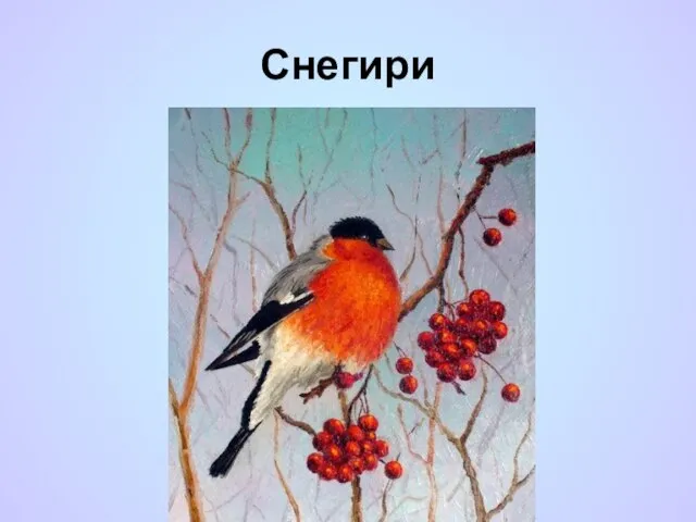 Снегири