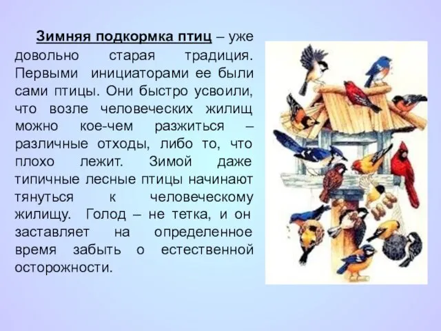 Зимняя подкормка птиц – уже довольно старая традиция. Первыми инициаторами ее