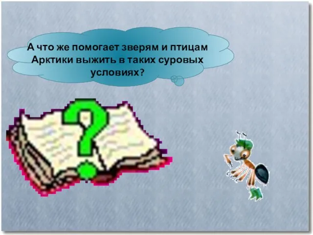 А что же помогает зверям и птицам Арктики выжить в таких суровых условиях?