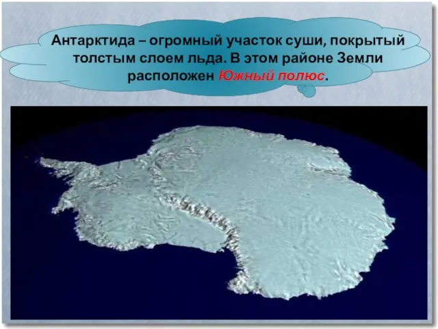 Антарктида – огромный участок суши, покрытый толстым слоем льда. В этом районе Земли расположен Южный полюс.