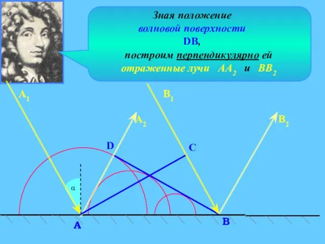 C α D В A А2 В2 Зная положение волновой поверхности