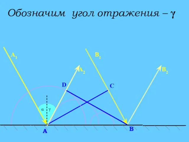 C α D В A А2 В2 А1 В1 Обозначим угол отражения – γ γ