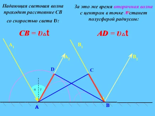 C α D В A А2 В2 Падающая световая волна проходит