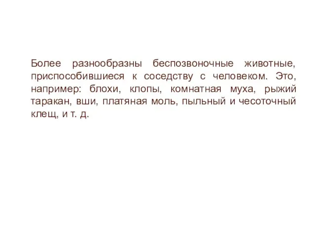 Более разнообразны беспозвоночные животные, приспособившиеся к соседству с человеком. Это, например: