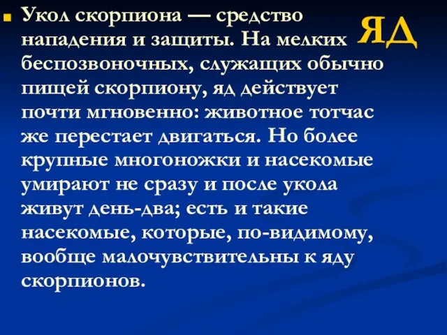 Укол скорпиона — средство нападения и защиты. На мелких беспозвоночных, служащих