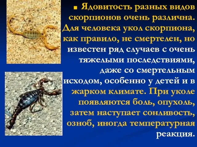 Ядовитость разных видов скорпионов очень различна. Для человека укол скорпиона, как
