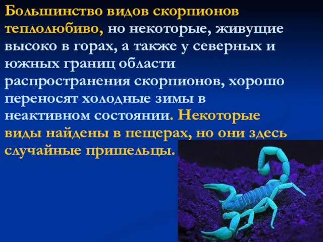 Большинство видов скорпионов теплолюбиво, но некоторые, живущие высоко в горах, а