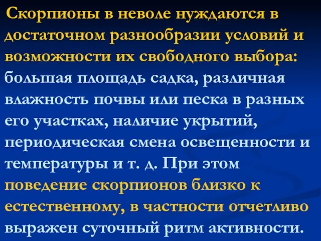 Скорпионы в неволе нуждаются в достаточном разнообразии условий и возможности их