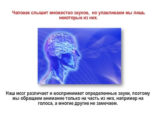 Человек слышит множество звуков, но улавливаем мы лишь некоторые из них.