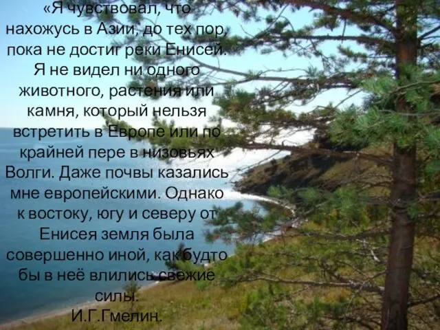 «Я чувствовал, что нахожусь в Азии, до тех пор, пока не