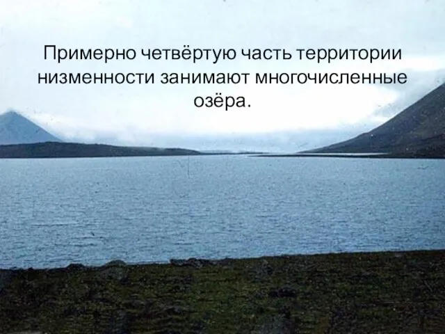 Примерно четвёртую часть территории низменности занимают многочисленные озёра.