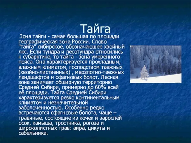 Тайга Зона тайги - самая большая по площади географическая зона России.