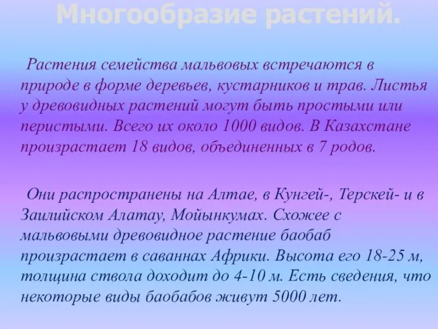 Многообразие растений. Растения семейства мальвовых встречаются в природе в форме деревьев,