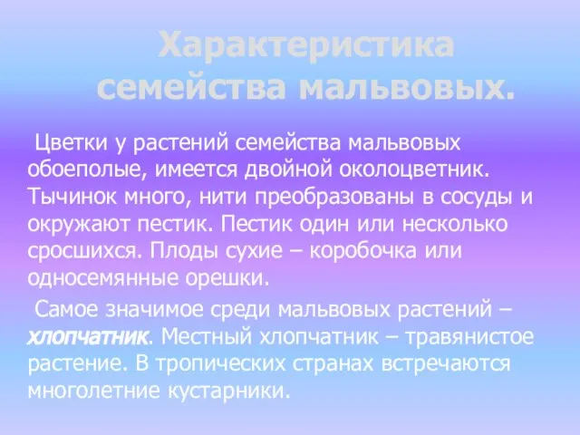 Характеристика семейства мальвовых. Цветки у растений семейства мальвовых обоеполые, имеется двойной