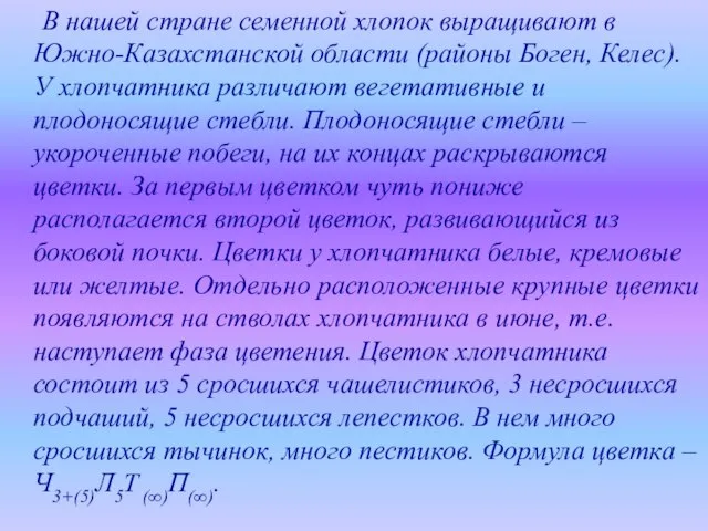 В нашей стране семенной хлопок выращивают в Южно-Казахстанской области (районы Боген,