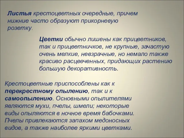 Листья крестоцветных очередные, причем нижние часто образуют прикорневую розетку. Цветки обычно