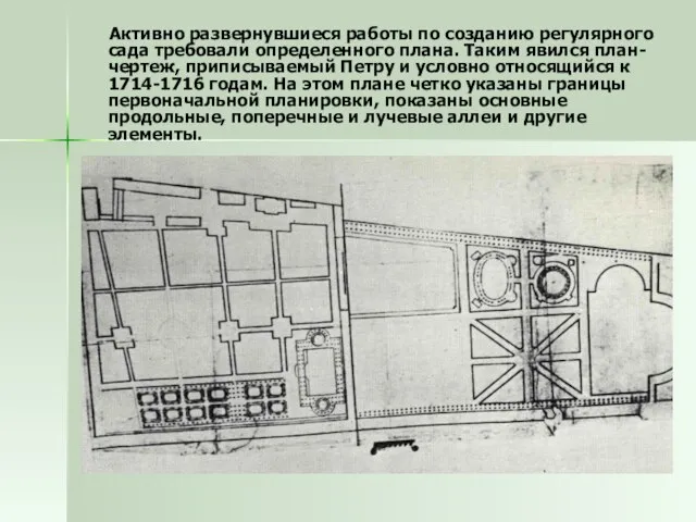 Активно развернувшиеся работы по созданию регулярного сада требовали определенного плана. Таким