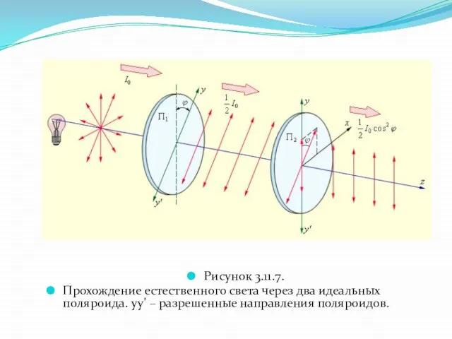 Рисунок 3.11.7. Прохождение естественного света через два идеальных поляроида. yy' – разрешенные направления поляроидов.