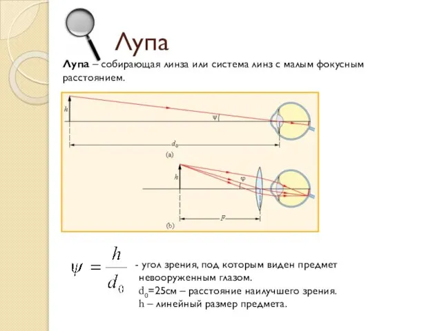 Лупа Лупа – собирающая линза или система линз с малым фокусным