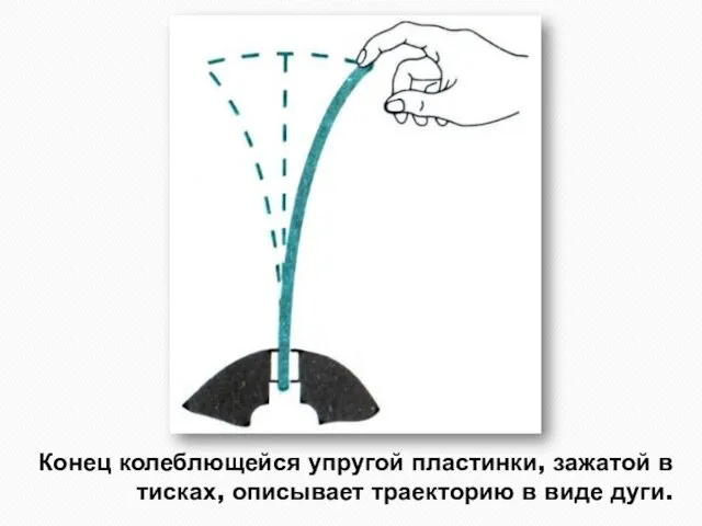 Конец колеблющейся упругой пластинки, зажатой в тисках, описывает траекторию в виде дуги.