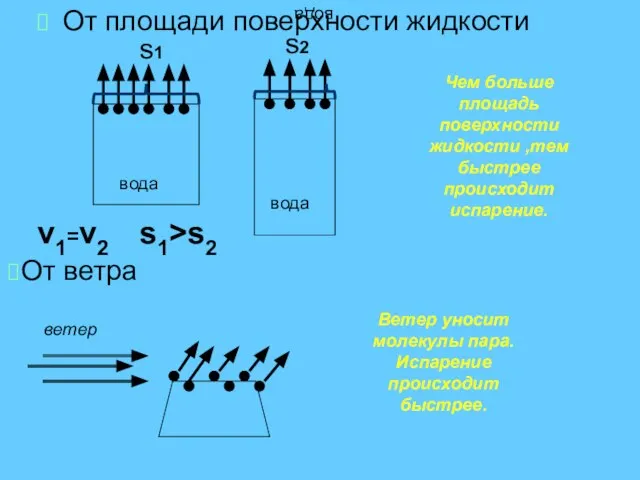 вода От площади поверхности жидкости вода вода v1=v2 Чем больше площадь