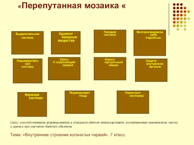 «Перепутанная мозаика « Выделительная система Нервная система Пищеваритель ная система Удаляет