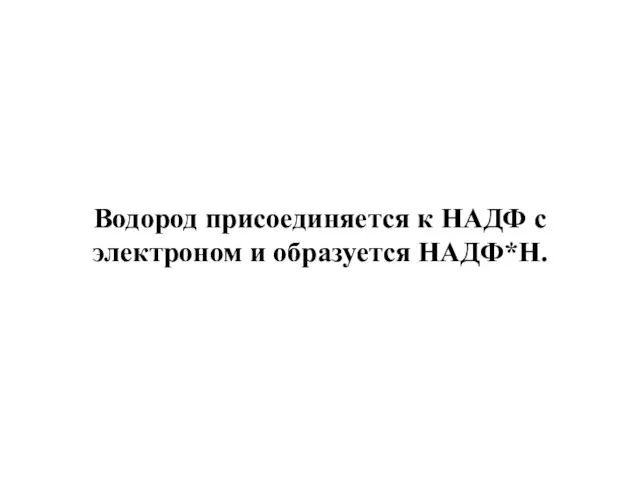 Водород присоединяется к НАДФ с электроном и образуется НАДФ*Н.