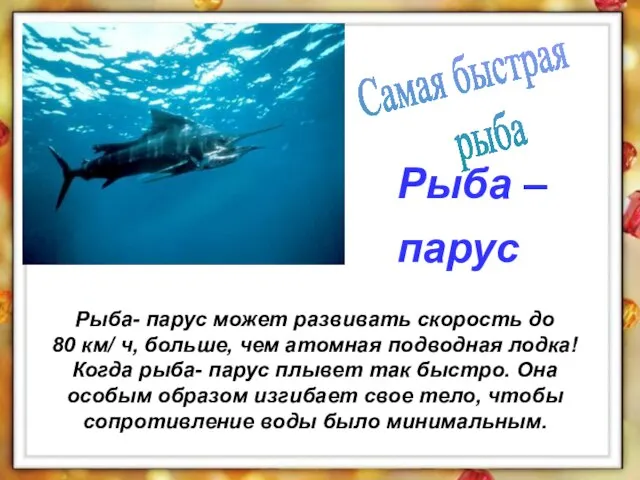 Рыба- парус может развивать скорость до 80 км/ ч, больше, чем