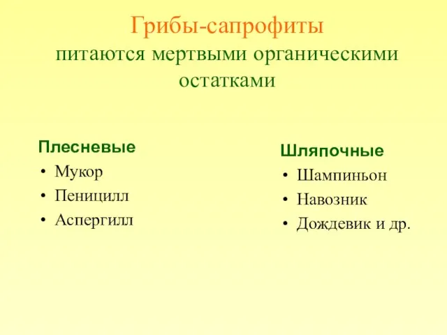 Грибы-сапрофиты питаются мертвыми органическими остатками Плесневые Мукор Пеницилл Аспергилл Шляпочные Шампиньон Навозник Дождевик и др.