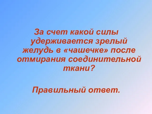 За счет какой силы удерживается зрелый желудь в «чашечке» после отмирания соединительной ткани? Правильный ответ.