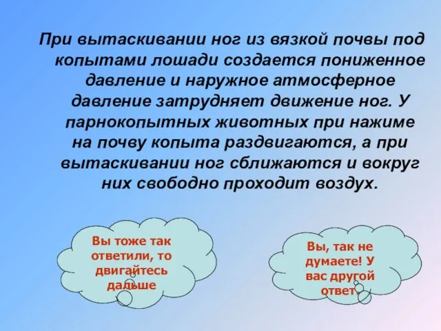 При вытаскивании ног из вязкой почвы под копытами лошади создается пониженное